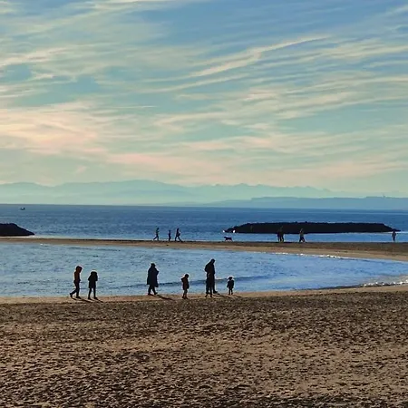 Vias-plage - De 65m2 A 600m De La *